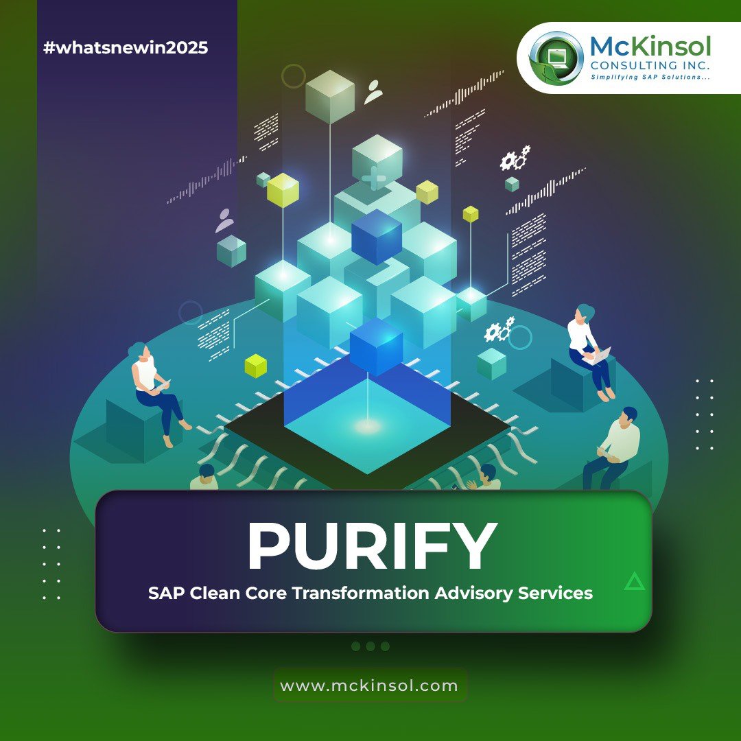 SAP Clean Core Strategy: Purify.io | Mckinsol